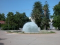 36