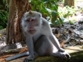 133