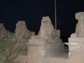 17.11 - 01.12.2008