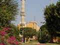 17.11 - 01.12.2008