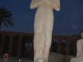 17.11 - 01.12.2008