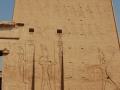 17.11 - 01.12.2008