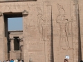 17.11 - 01.12.2008