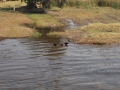 17.11 - 01.12.2008