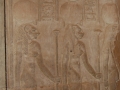 17.11 - 01.12.2008