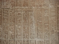 17.11 - 01.12.2008