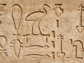 17.11 - 01.12.2008