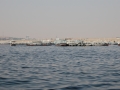 17.11 - 01.12.2008