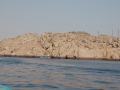 17.11 - 01.12.2008