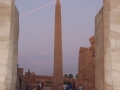 17.11 - 01.12.2008