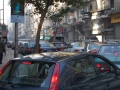 17.11 - 01.12.2008