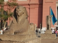 17.11 - 01.12.2008