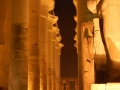 17.11 - 01.12.2008