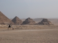 17.11 - 01.12.2008