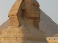 354-DSC_0475