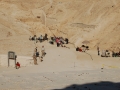 17.11 - 01.12.2008