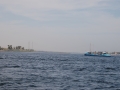 17.11 - 01.12.2008