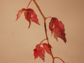 19.10.2009