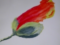 2005