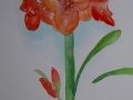 2005