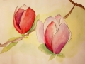 04.05.2009