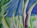2007