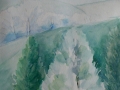 2004