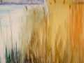29.01.2007