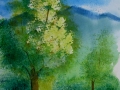 2003