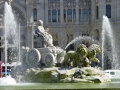 6-cibeles