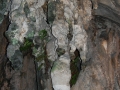 May 2009