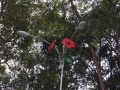 May 2009