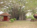 May 2009