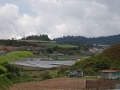 May 2009