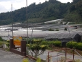 May 2009