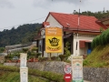May 2009