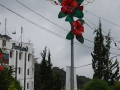 May 2009