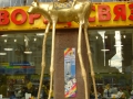 67-DSC01170