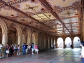 87-DSC_0022