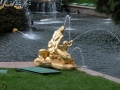 40-DSCN0569