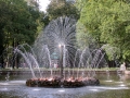 41-DSCN0580