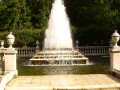 45-DSC01224
