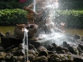 59-DSCN0590