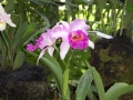 May 2009