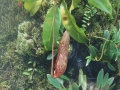 May 2009