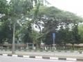 May 2009