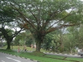 May 2009
