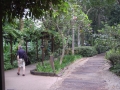 May 2009