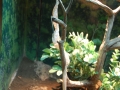 May 2009