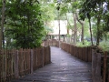 May 2009